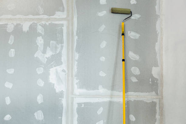 Best Mold Documentation for Insurance Claims  in Fruitdale, CA