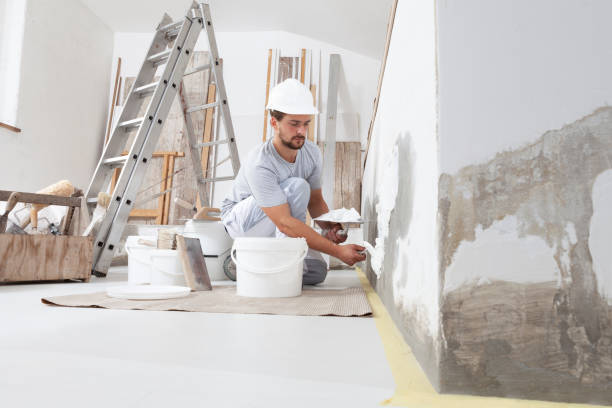 Trusted Fruitdale, CA Mold Removal Experts