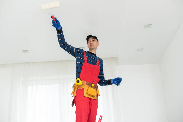 Best Attic Mold Removal  in Fruitdale, CA