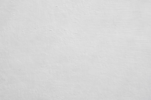 Best Basement Mold Removal  in Fruitdale, CA